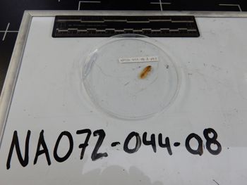 Media type: image;   Invertebrate Zoology 139221